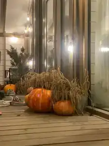 Дубль Дача - 36