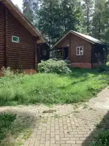 Иволга - 17