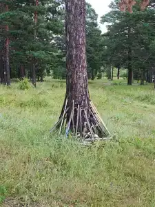 Кучигер - 20