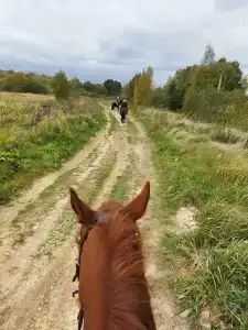 Бородино - 57