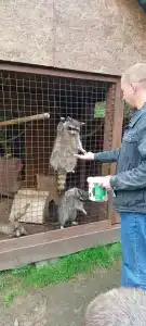 Солонечный - 61