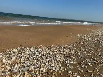 Анна Крым - 74