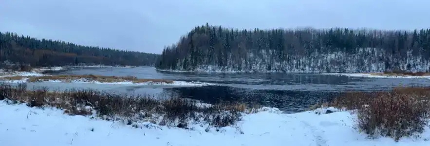 Маркомусы - 92