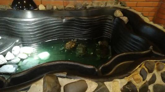 Марциальные Воды - 84