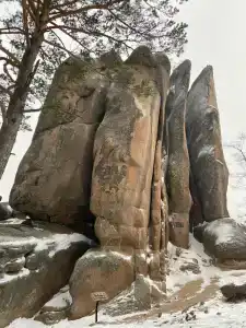 Кордона Нарым - 17