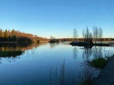 Губкинец - 75