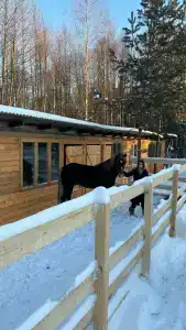 Monte Spa - 41