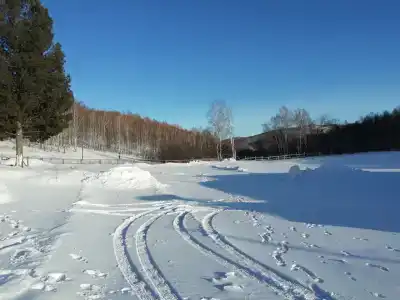 Долгий лог - 40