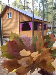 Сосновые дома - 16