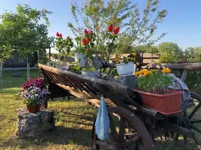 Беловежское Поместье - 12