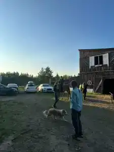 Паллада пастораль - 28