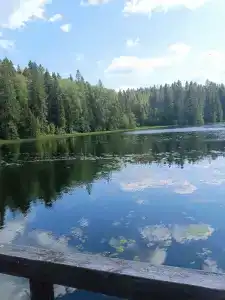 Таежная - 14