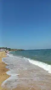 Stella di mare - 10