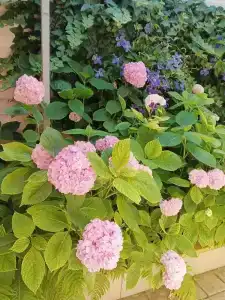 Морское Небо - 62