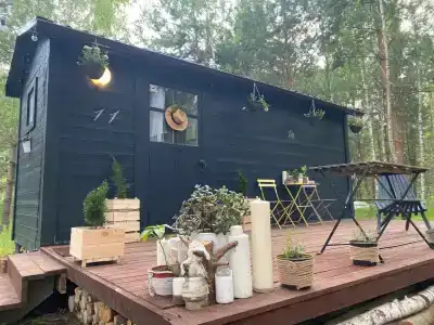 Можжевельник - 0