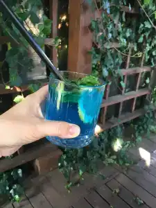 Лесная мечта - 2