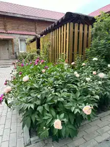 Рыбное место - 34