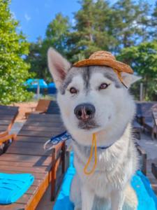 Дом у моря - 39