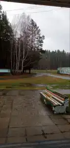 Чайка - 10