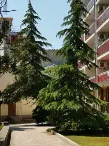 Судак - 68