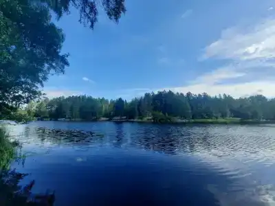 Васильево - 23