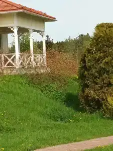 Ладожская Усадьба - 96