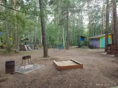 Сосенка - 10