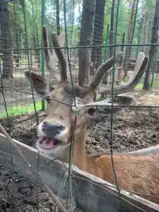 Бригантина - 38