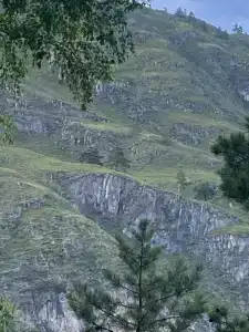 Алама - 30