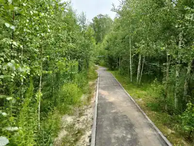 Земляничный - 68