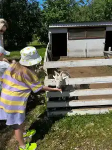 Мультиферма - 73