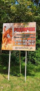 Родничок - 45