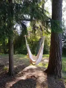 Усадьба Запруднево - 91