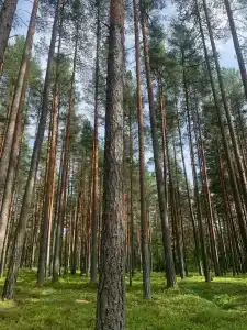 Вуокса Тур Кемпинг - 8