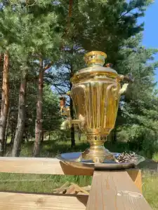 Орехово Лес - 14