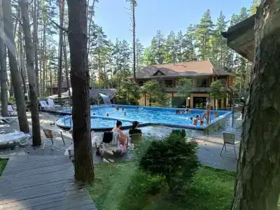 Донской лес - 0