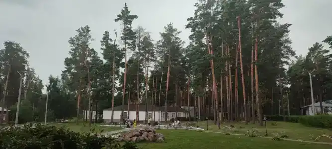Серебряные ключи - 36