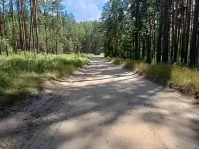 Кувшинка - 6