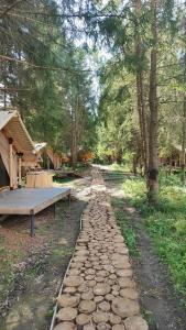 Заповедник - 32