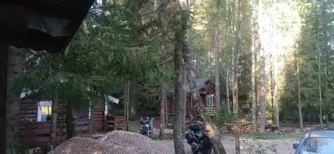 Лесной Дом - 42