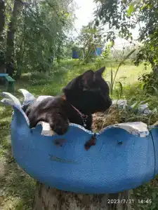 Бодрость - 59