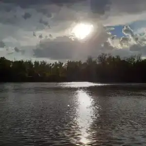 Бодрость - 36