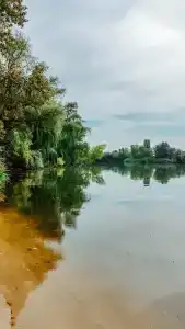 Дончанка - 4