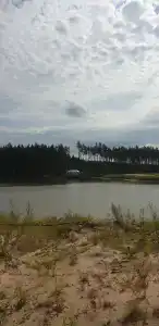 Беседки на Коркинском озере - 61