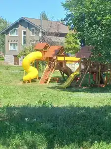 Стрижи - 1