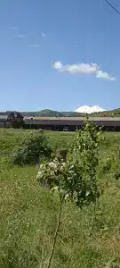 Долина Кавказа - 38