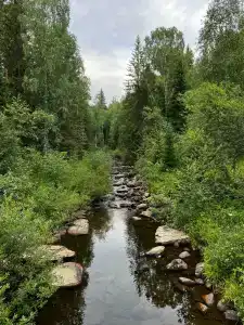 Белый ключ - 21