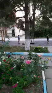 Уют - 13