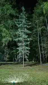Атлашкино - 10