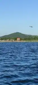 Золотари 5+ - 8